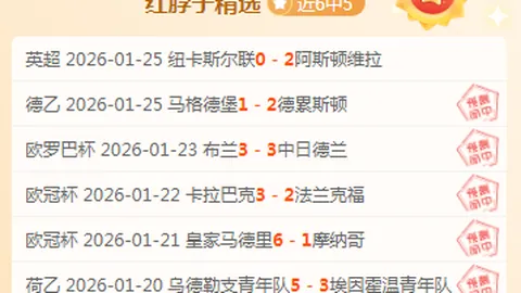 鹈鹕连胜佳绩，欧文锡安领航独领风骚_战报与数据回顾